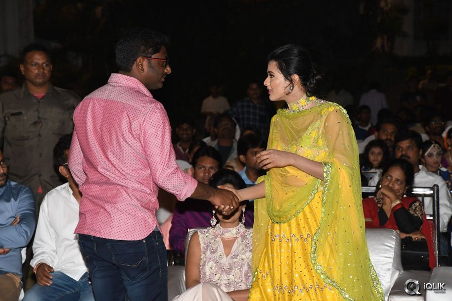 Ekkadiki-Pothavu-Chinnavada-Movie-Audio-Success-Meet